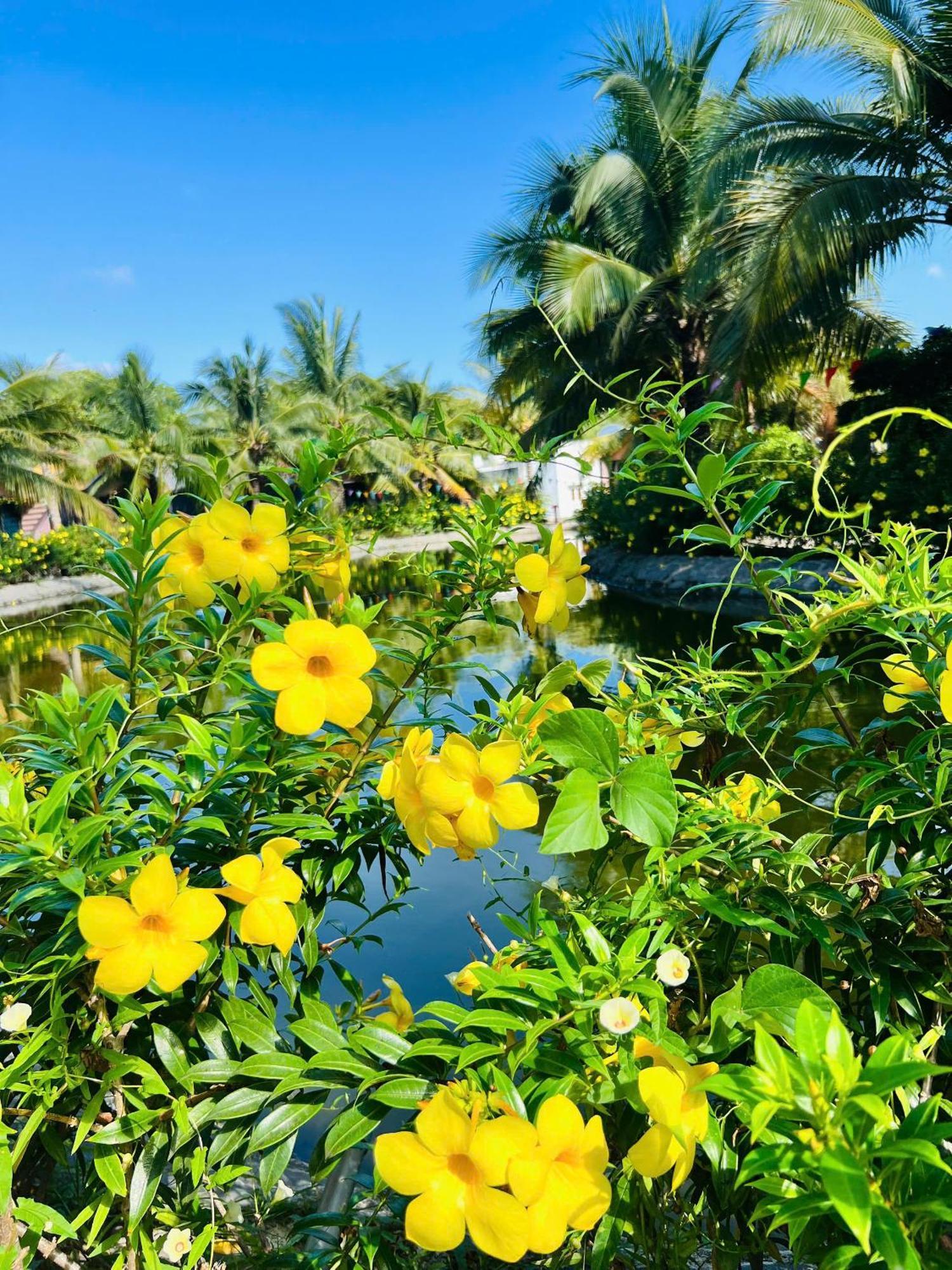 Ho Coc Park & Resort Xa Nhu Lam Bagian luar foto